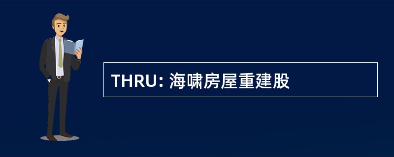 THRU: 海啸房屋重建股