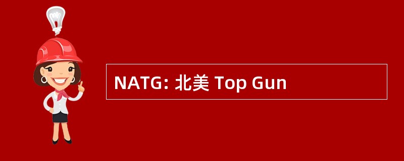 NATG: 北美 Top Gun