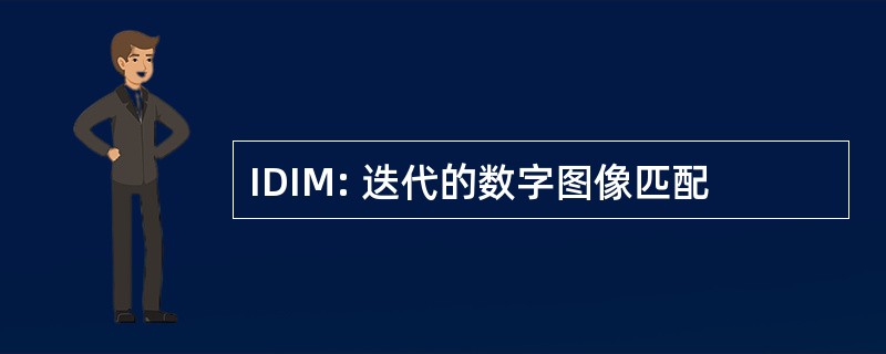 IDIM: 迭代的数字图像匹配