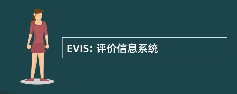 EVIS: 评价信息系统