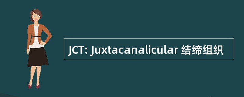 JCT: Juxtacanalicular 结缔组织