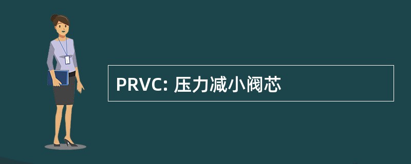 PRVC: 压力减小阀芯