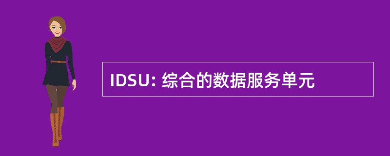 IDSU: 综合的数据服务单元