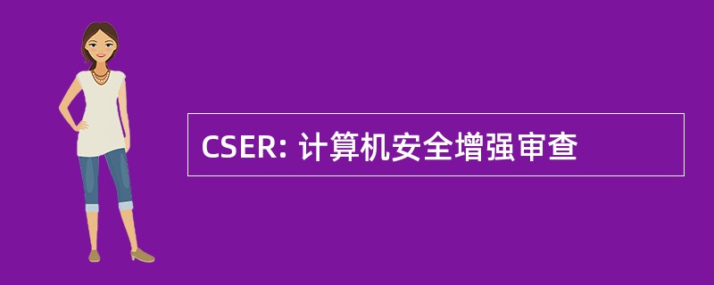 CSER: 计算机安全增强审查