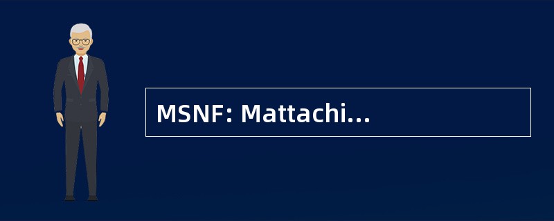 MSNF: Mattachine 社会的尼亚加拉边境