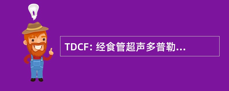 TDCF: 经食管超声多普勒彩色血流显像