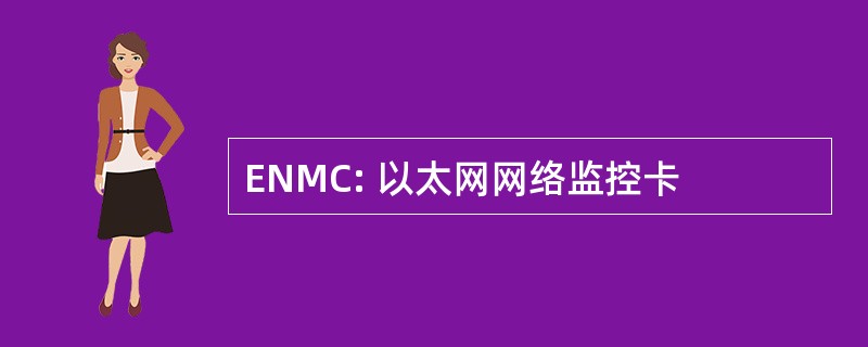 ENMC: 以太网网络监控卡