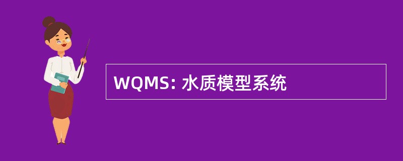 WQMS: 水质模型系统