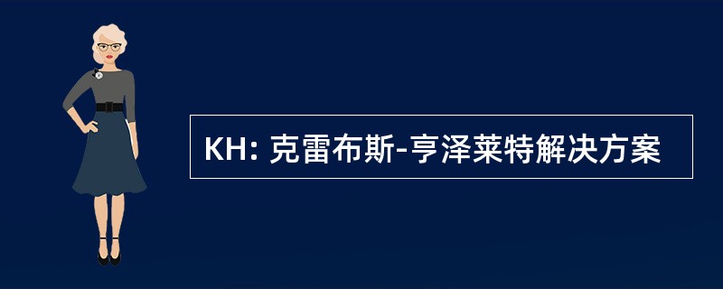 KH: 克雷布斯-亨泽莱特解决方案