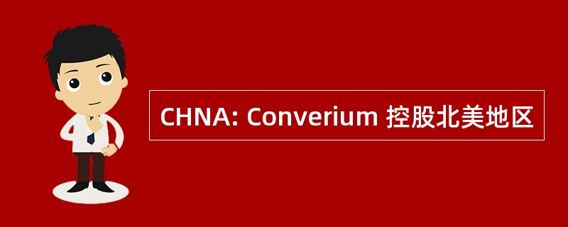 CHNA: Converium 控股北美地区