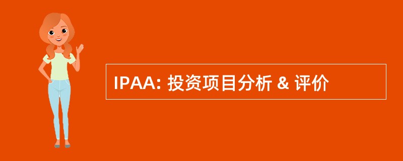 IPAA: 投资项目分析 & 评价