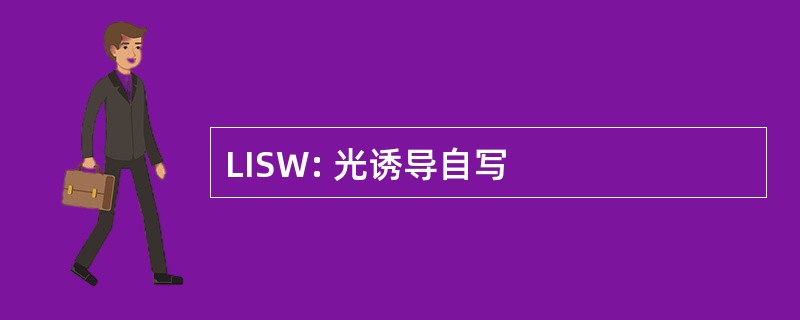 LISW: 光诱导自写