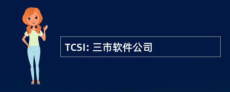 TCSI: 三市软件公司