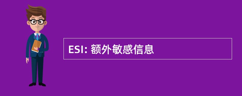 ESI: 额外敏感信息