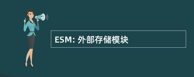 ESM: 外部存储模块