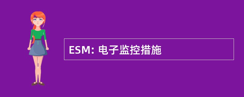 ESM: 电子监控措施