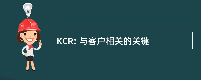 KCR: 与客户相关的关键