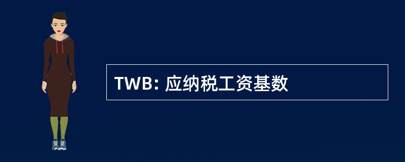 TWB: 应纳税工资基数