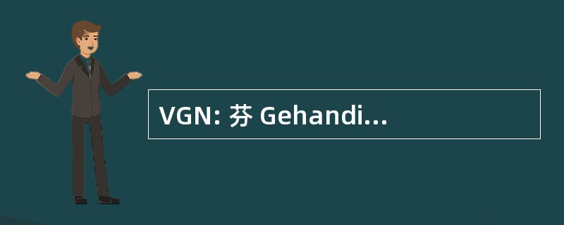 VGN: 芬 Gehandicaptenzorg 荷兰