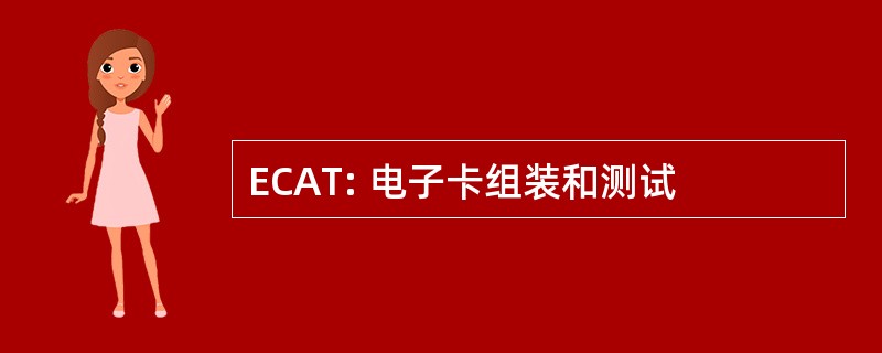 ECAT: 电子卡组装和测试