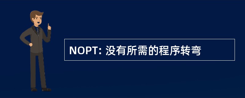 NOPT: 没有所需的程序转弯