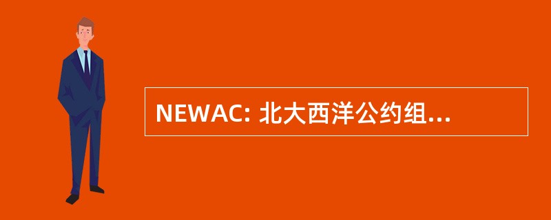 NEWAC: 北大西洋公约组织电子战咨询委员会