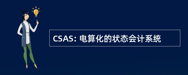 CSAS: 电算化的状态会计系统