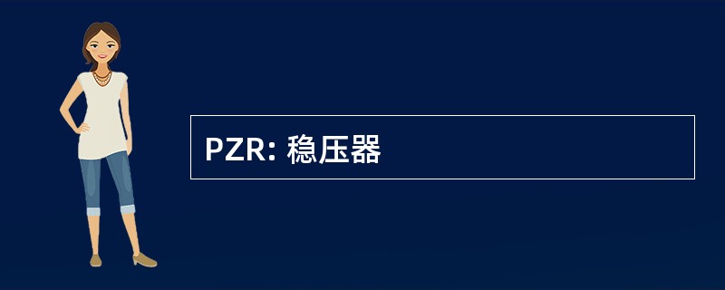 PZR: 稳压器