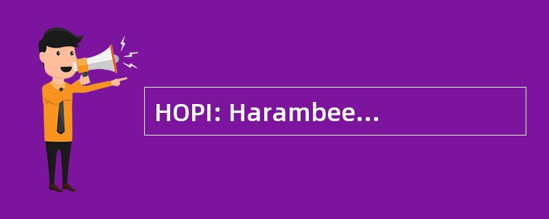 HOPI: Harambee 监察员项目公司