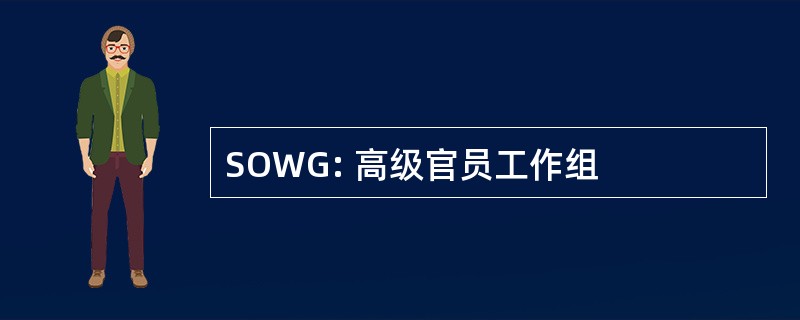 SOWG: 高级官员工作组