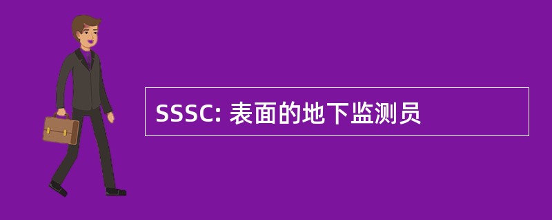 SSSC: 表面的地下监测员