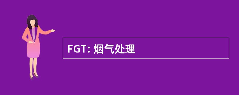 FGT: 烟气处理