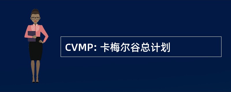 CVMP: 卡梅尔谷总计划