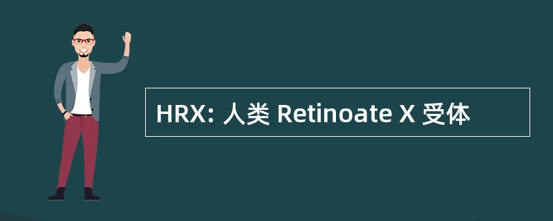 HRX: 人类 Retinoate X 受体