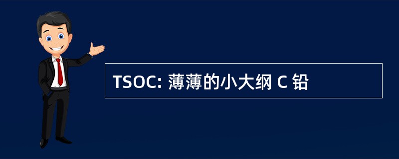 TSOC: 薄薄的小大纲 C 铅