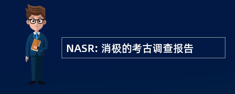 NASR: 消极的考古调查报告