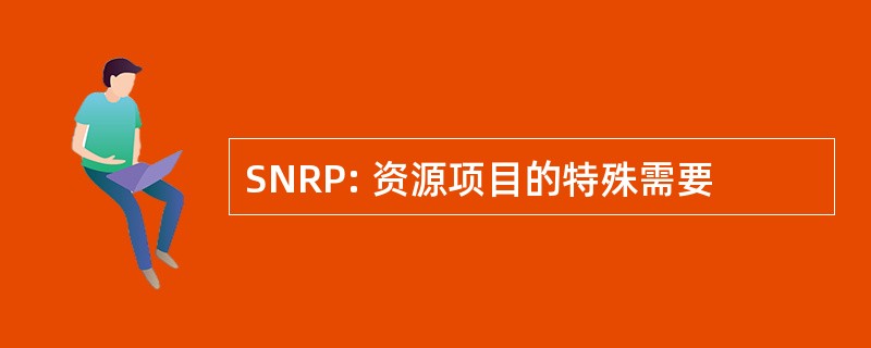 SNRP: 资源项目的特殊需要