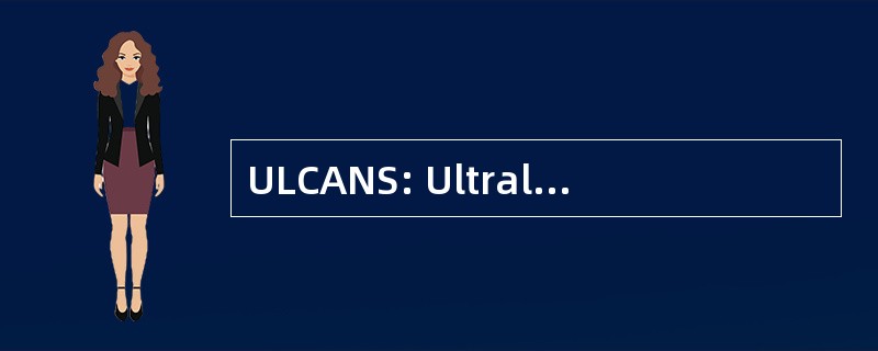 ULCANS: Ultralightweight 伪装网系统