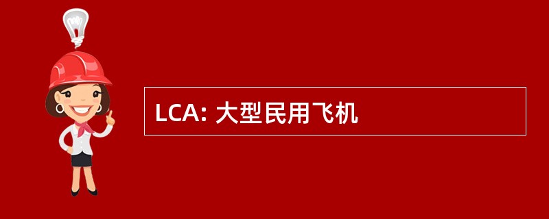 LCA: 大型民用飞机