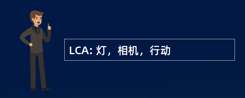 LCA: 灯，相机，行动