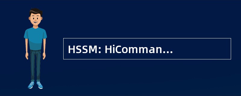 HSSM: HiCommand 存储服务管理器