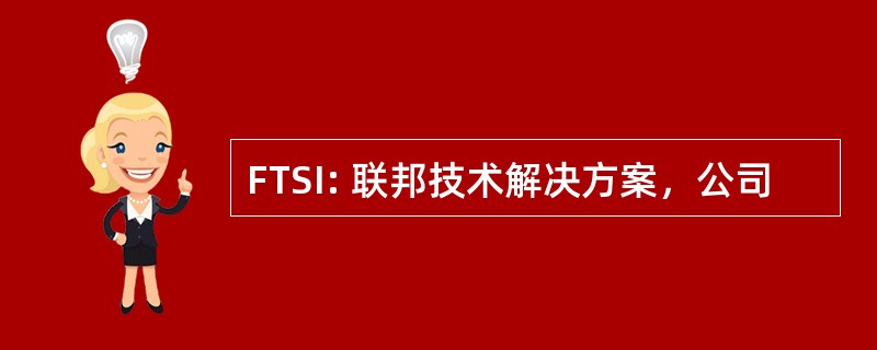 FTSI: 联邦技术解决方案，公司