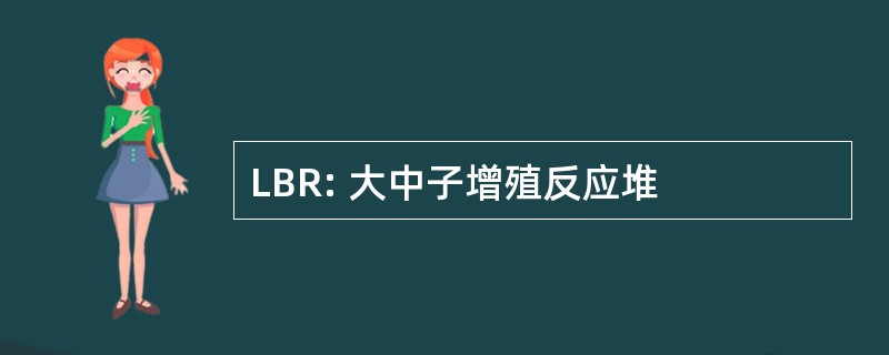 LBR: 大中子增殖反应堆