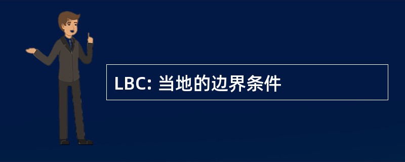 LBC: 当地的边界条件