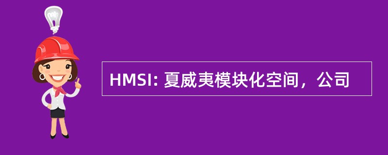 HMSI: 夏威夷模块化空间，公司