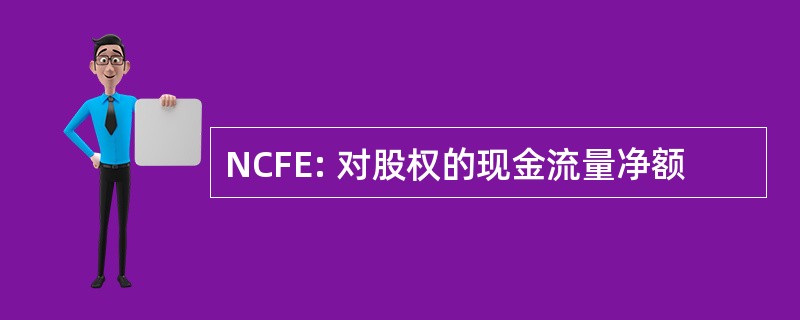 NCFE: 对股权的现金流量净额