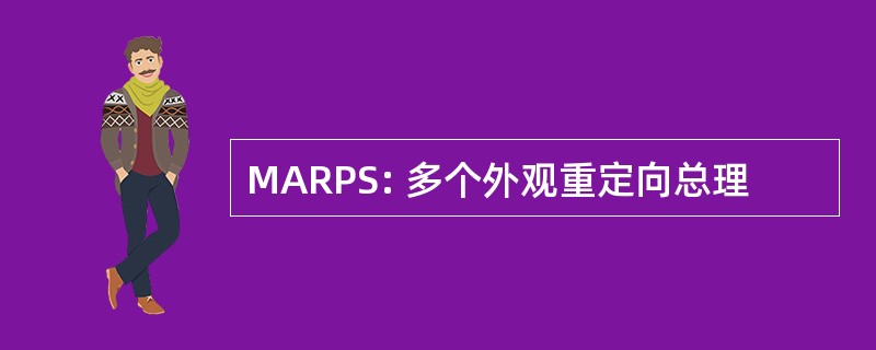 MARPS: 多个外观重定向总理