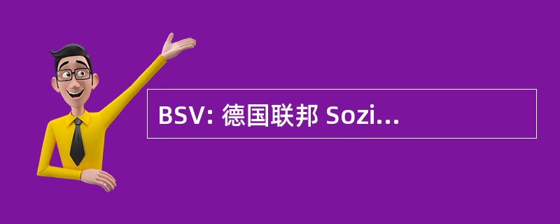 BSV: 德国联邦 Sozialversicherungen