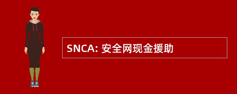 SNCA: 安全网现金援助