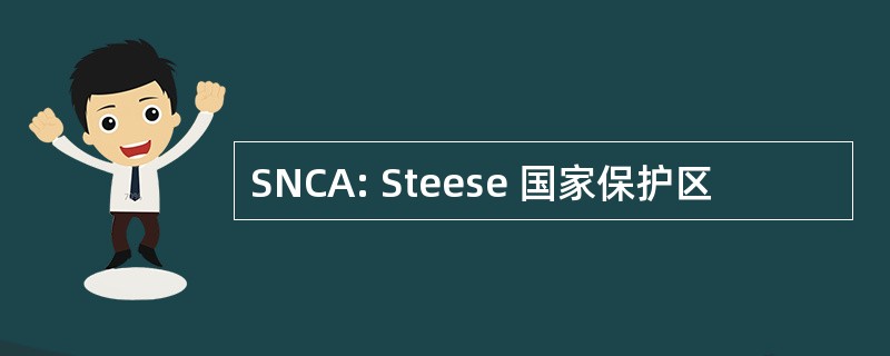 SNCA: Steese 国家保护区